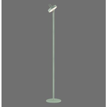 Leuchten Direkt lights AMAG floor lamp LED green, 1-light source