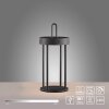 Leuchten Direkt lights ANSELM table lamp LED black, 1-light source