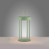 Leuchten Direkt lights ANSELM table lamp LED green, 1-light source