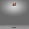 Leuchten Direkt lights ASKIA floor lamp LED black, 1-light source