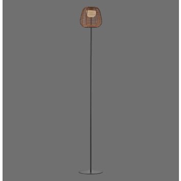 Leuchten Direkt lights ASKIA floor lamp LED black, 1-light source