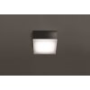 LCD lights Jachenau ceiling light, wall light LED anthracite, 1-light source