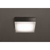 LCD lights Jachenau ceiling light, wall light LED anthracite, 1-light source