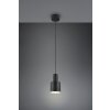 Trio lights Agudo pendant light black, 1-light source