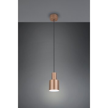 Trio lights Agudo pendant light brown, 1-light source