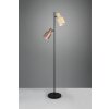 Trio lights Agudo floor lamp colourful, 2-light sources