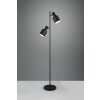 Trio lights Agudo floor lamp black, 2-light sources