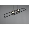 Trio lights ALBANY pendant light LED black, 1-light source, Remote control