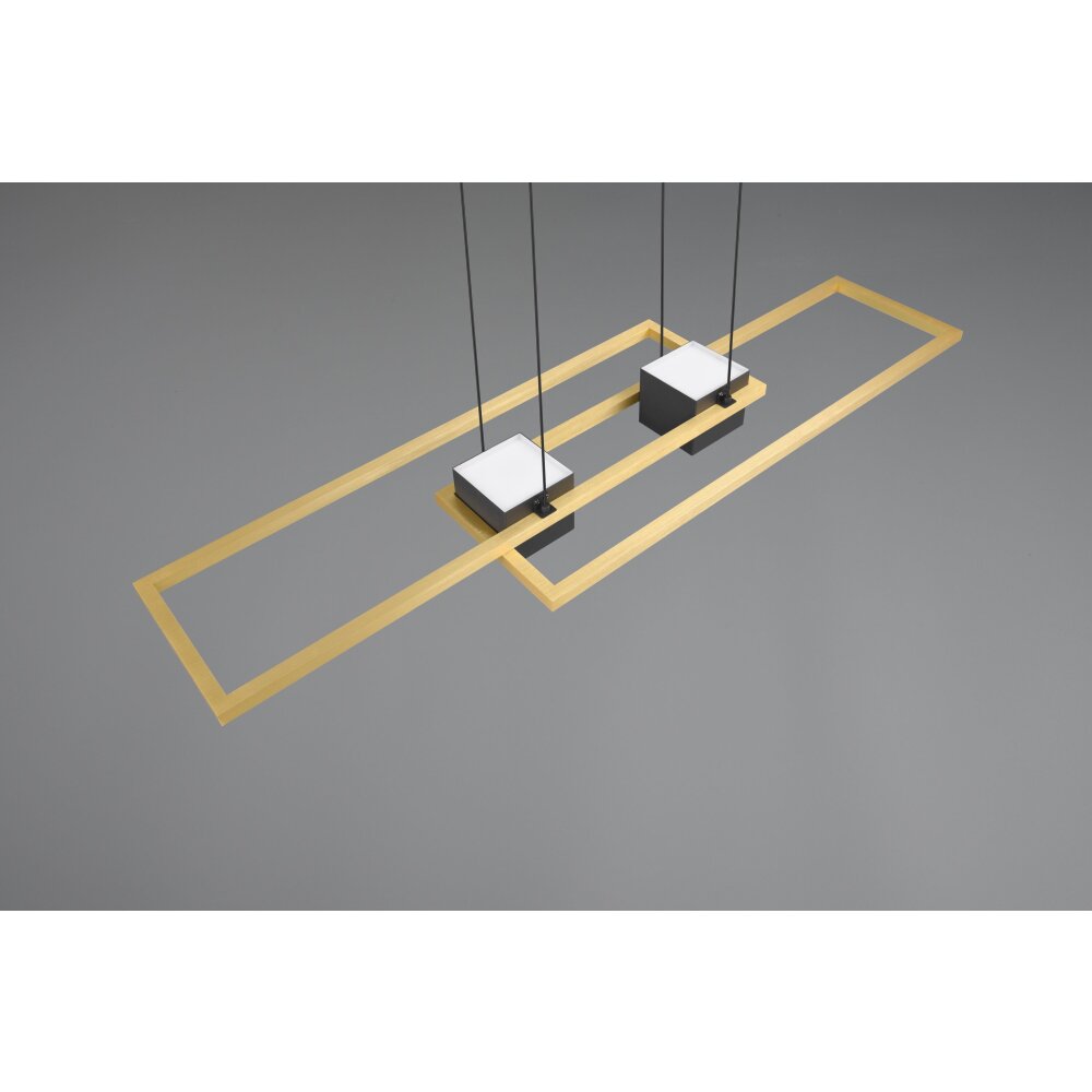 Trio lights ALBANY pendant light LED black-gold, 1-light source, Remote control