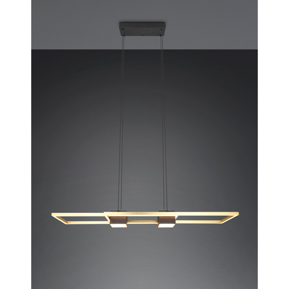 Trio lights ALBANY pendant light LED black-gold, 1-light source, Remote control