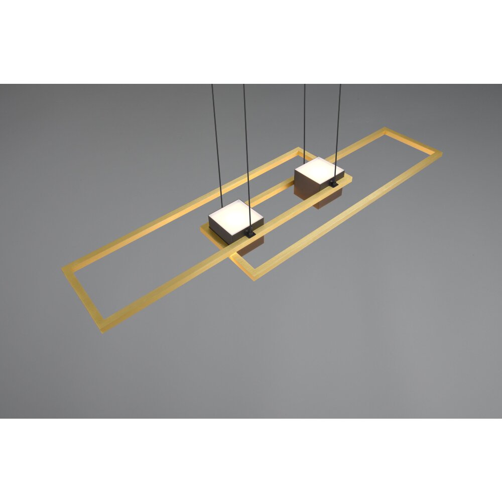 Trio lights ALBANY pendant light LED black-gold, 1-light source, Remote control