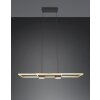 Trio lights ALBANY pendant light LED black-gold, 1-light source, Remote control