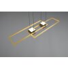 Trio lights ALBANY pendant light LED black-gold, 1-light source, Remote control