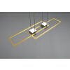 Trio lights ALBANY pendant light LED black-gold, 1-light source, Remote control