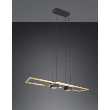 Trio lights ALBANY pendant light LED black-gold, 1-light source, Remote control