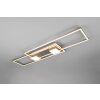 Trio lights ALBANY ceiling light LED matt nickel, 1-light source, Remote control