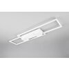 Trio lights ALBANY ceiling light LED white, 1-light source, Remote control