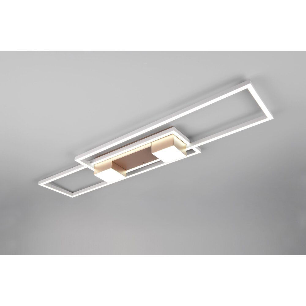 Trio lights ALBANY ceiling light LED brown, 1-light source, Remote control