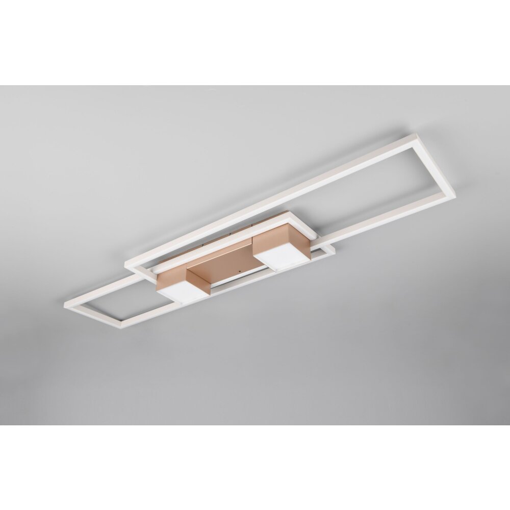 Trio lights ALBANY ceiling light LED brown, 1-light source, Remote control
