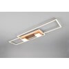 Trio lights ALBANY ceiling light LED brown, 1-light source, Remote control