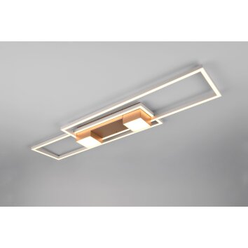 Trio lights ALBANY ceiling light LED brown, 1-light source, Remote control