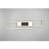 Trio lights ALBANY ceiling light LED black-gold, 1-light source, Remote control