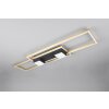 Trio lights ALBANY ceiling light LED black-gold, 1-light source, Remote control