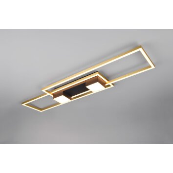 Trio lights ALBANY ceiling light LED black-gold, 1-light source, Remote control