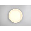 Reality lights Aleta ceiling light LED white, 1-light source, Remote control