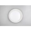 Reality lights Aleta ceiling light LED white, 1-light source, Remote control