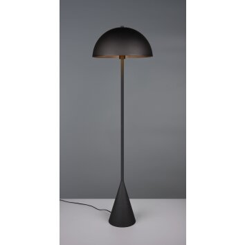 Trio lights Alfie floor lamp black, 1-light source