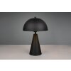 Mushroom Lamp  Trio lights Alfie table lamp black, 1-light source