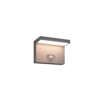 Trio lights Blyde wall light LED anthracite, 1-light source, Motion sensor