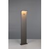 Trio lights Blyde outdoor floor lamp LED anthracite, 1-light source, Motion sensor