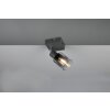 Reality lights Cadiz ceiling spotlight anthracite, 1-light source