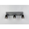 Reality lights Cadiz ceiling spotlight anthracite, 3-light sources