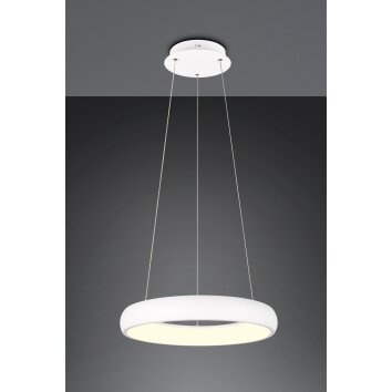 Trio lights Cardona pendant light LED white, 1-light source