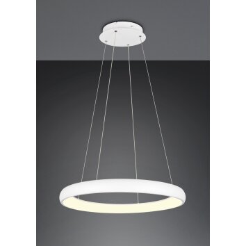 Trio lights Cardona pendant light LED white, 1-light source