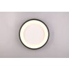 Trio lights Cardona ceiling light LED black, 1-light source