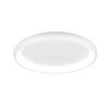 Trio lights Cardona ceiling light LED white, 1-light source