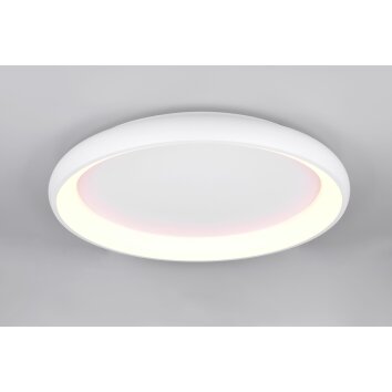 Trio lights Cardona ceiling light LED white, 1-light source