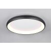 Trio lights Cardona ceiling light LED black, 1-light source