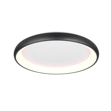 Trio lights Cardona ceiling light LED black, 1-light source