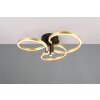 Trio lights Caruso ceiling light LED black-gold, 1-light source