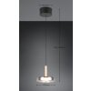 Trio lights Celeste pendant light LED black, 1-light source