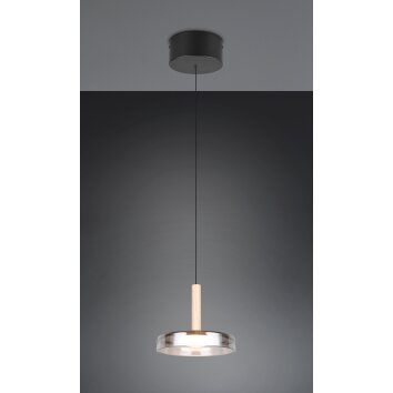 Trio lights Celeste pendant light LED black, 1-light source