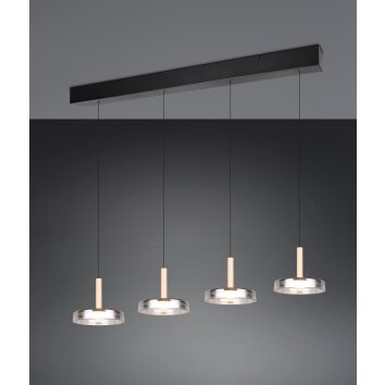 Trio lights Celeste pendant light LED black, 1-light source