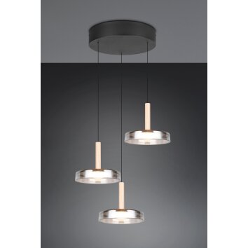 Trio lights Celeste pendant light LED black, 1-light source