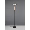 Trio lights Celeste floor lamp LED black, 1-light source