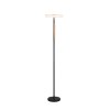 Trio lights Celeste floor lamp LED black, 1-light source